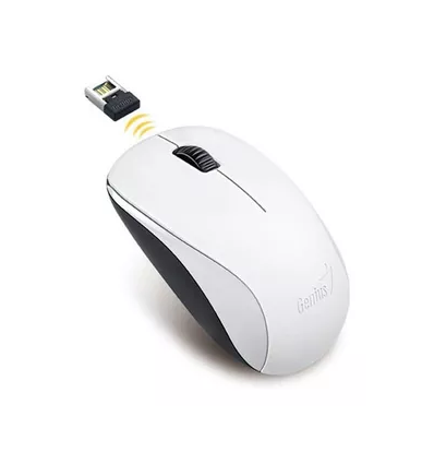 MOUSE GENIUS USB DX-7000X