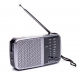 RADIO AM/FM GRIS SUONO 3188 AYV0021