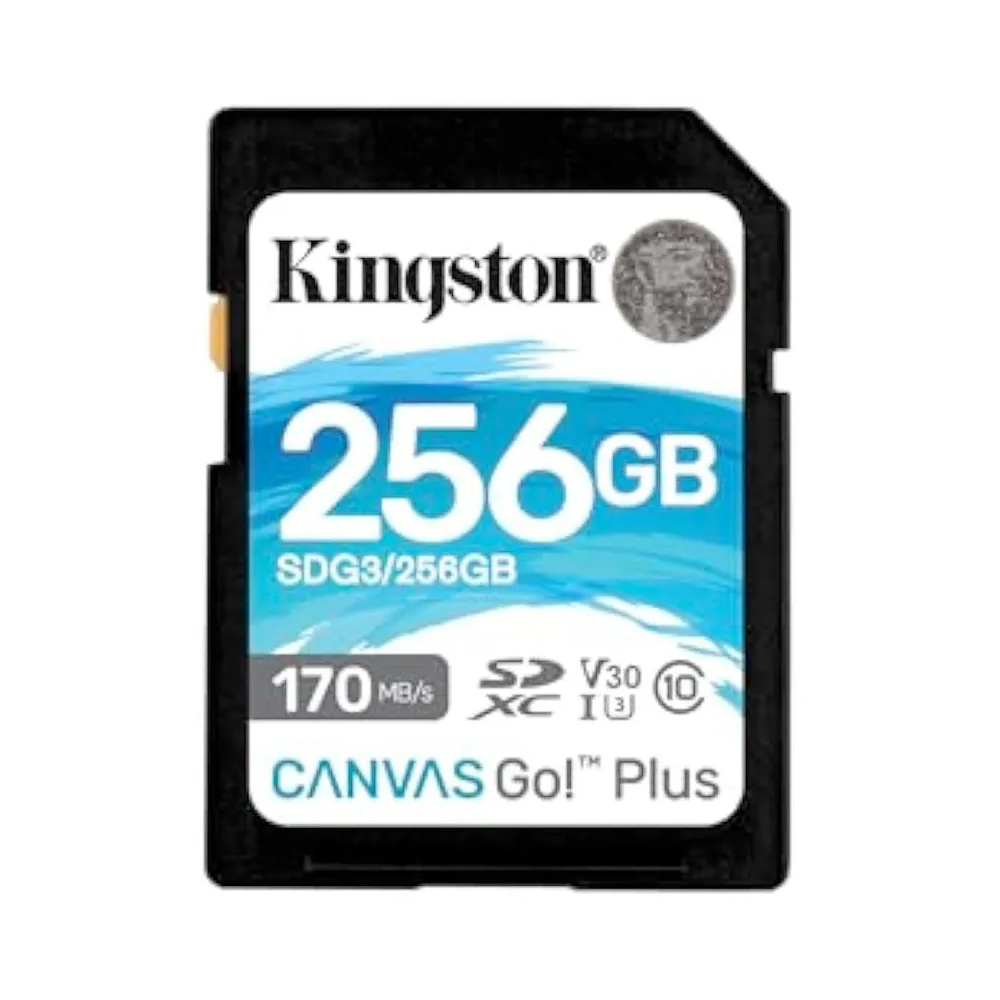 MEM FLASH 256GB KINGSTON V30 CANVAS GO PLUS C10
