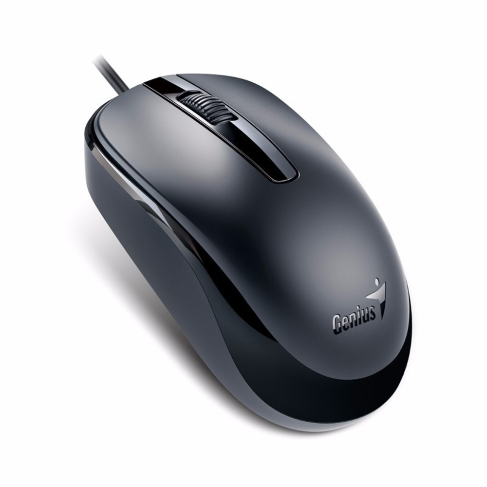 MOUSE GENIUS DX-120 USB-C