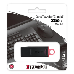 PEN DRIVE 256GB KINGSTON DTXS USB 3.2 GEN1