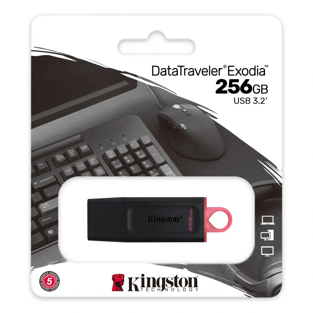 PEN DRIVE 256GB KINGSTON DTXS USB 3.2 GEN1