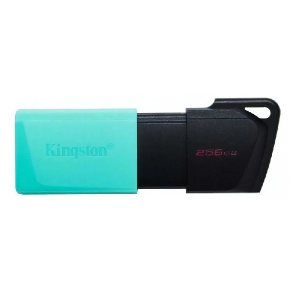 PEN DRIVE 256GB KINGSTON EXODIA DTXM USB 3.2 GEN 1